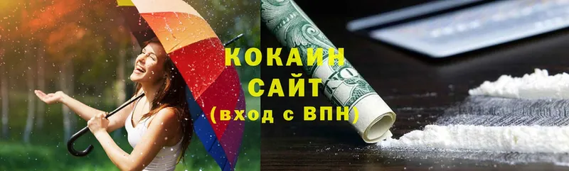 где можно купить   Электросталь  КОКАИН Fish Scale 