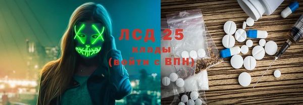 индика Новокубанск