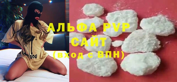 хмурый Белокуриха