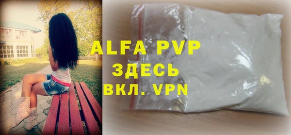 индика Новокубанск