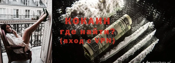 индика Новокубанск
