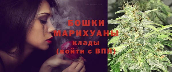 индика Новокубанск