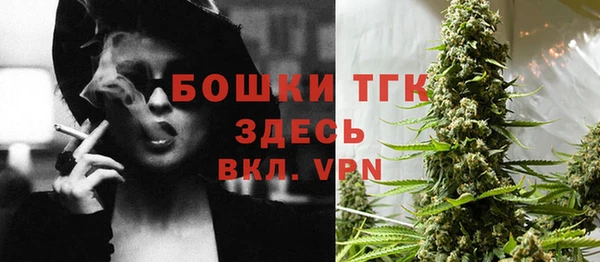 PSILOCYBIN Новозыбков