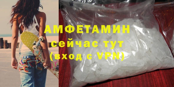 индика Новокубанск