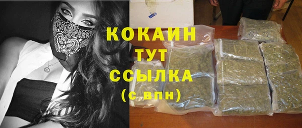 PSILOCYBIN Новозыбков