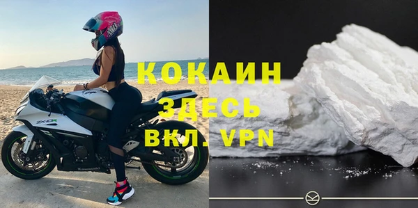индика Новокубанск