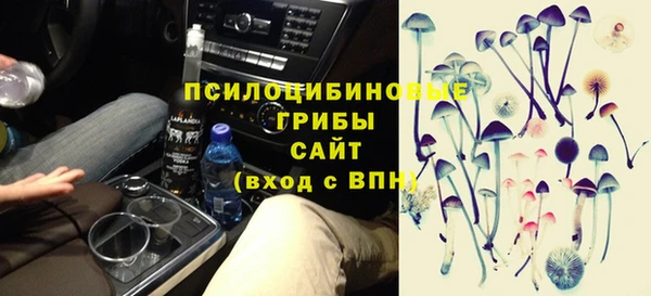 индика Новокубанск