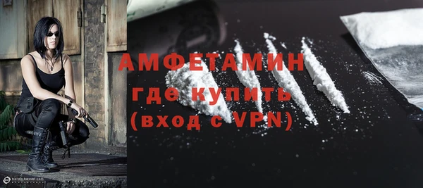 индика Новокубанск