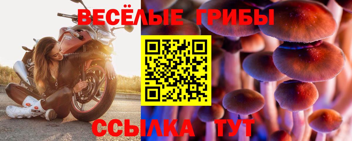 Галлюциногенные грибы мицелий  Вход с VPN  где купить   Электросталь 